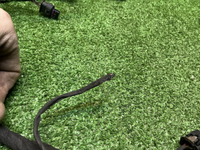 Проводка заднего бампера Haval Jolion (2024-н.в.)