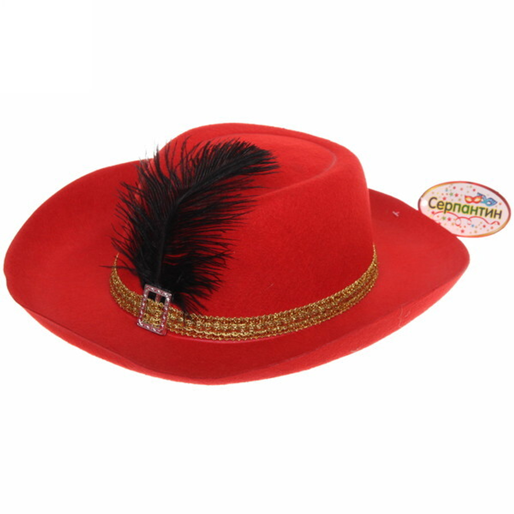 Шляпа карнавальная «Мушкетер» бордо с пером, d-30 см, микс