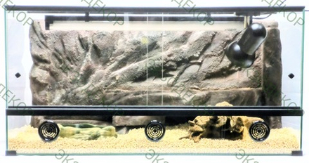 Полный комплект для Бородатой агамы. Террариум 70х50х40 и всё необходимое для содержания.