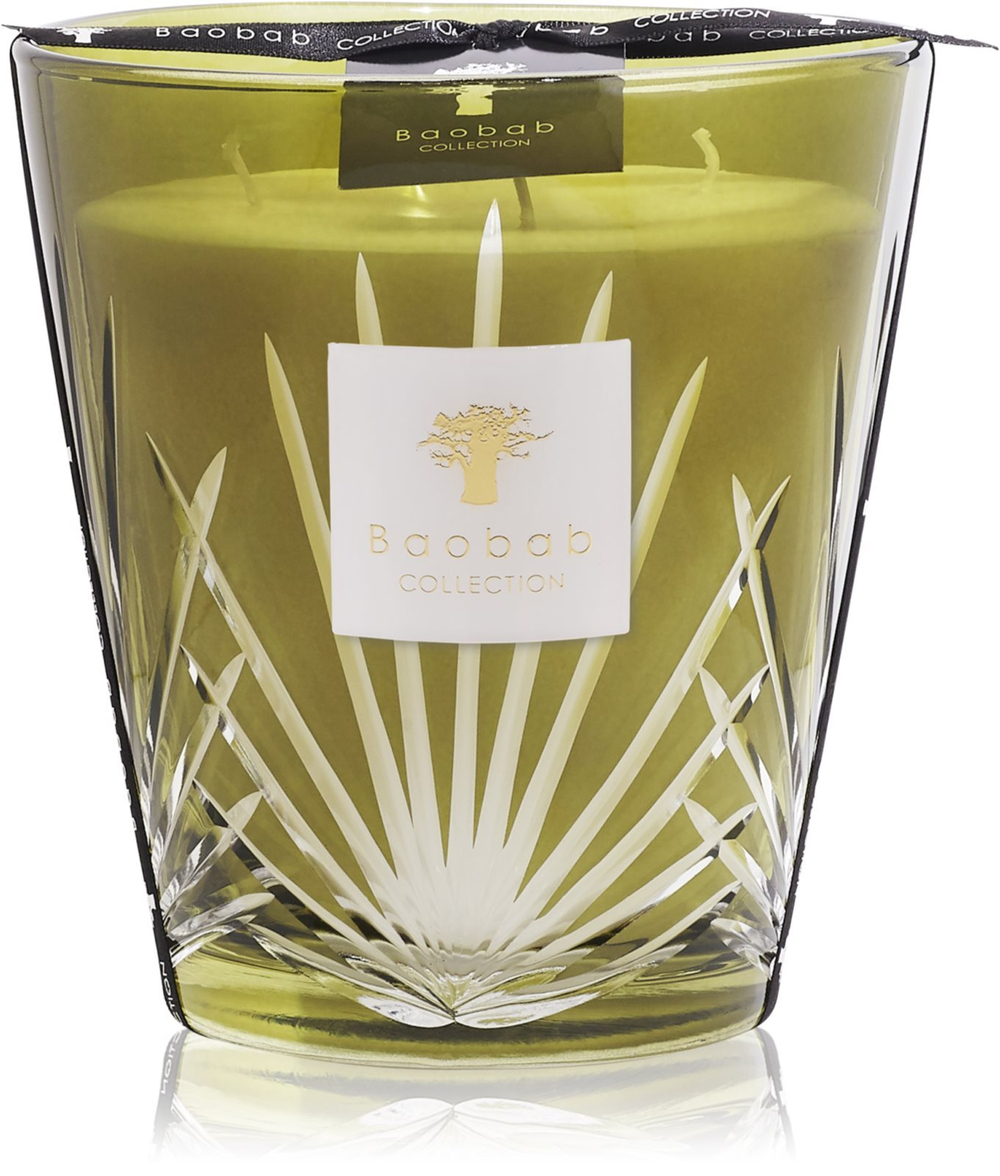 Baobab Collection Palm Palm Springs - ароматическая свеча /  16 cm   / GTIN 5415198486850