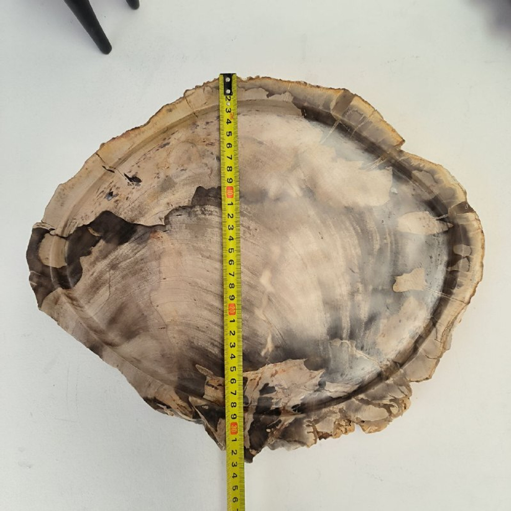 Набор из окаменелого дерева 4 предм Fossil Set NF-63071 поднос 33см*39см