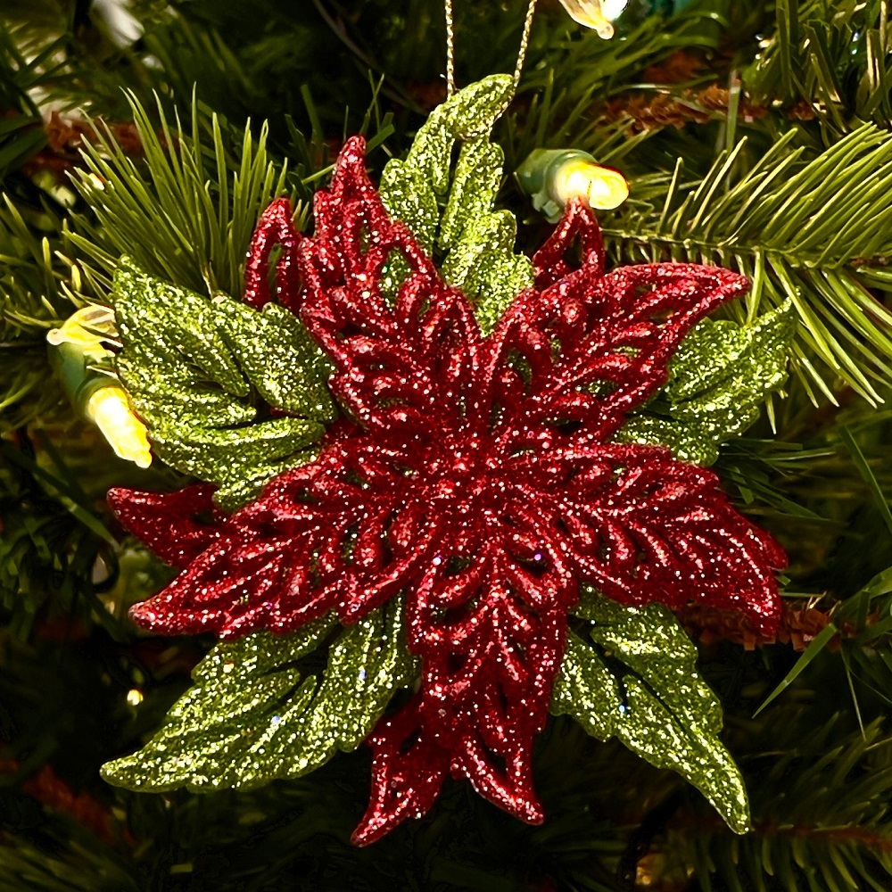 Пуансеттия блестящая