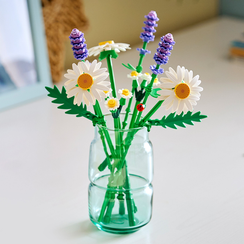 LEGO Constructor Botanicals Daisies