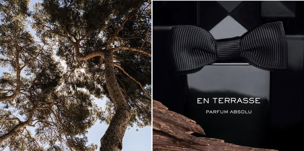 Alex Simone En Terrasse Parfum Absolu