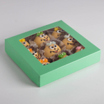 Упаковка с окном ЗЕЛЕНАЯ 20*20*4 см