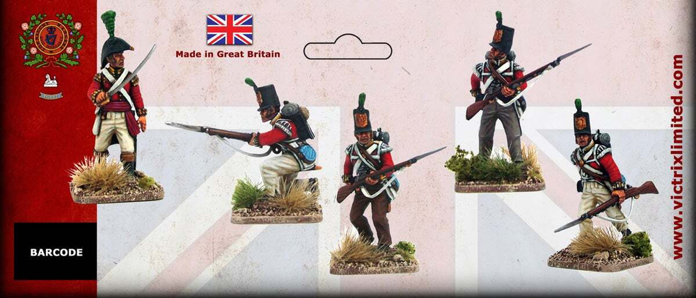 VX0004 British Peninsular Flank Companies