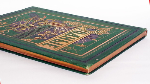 "Родные отголоски. Малорусская жизнь и природа". . 1881г. - антикварное издание