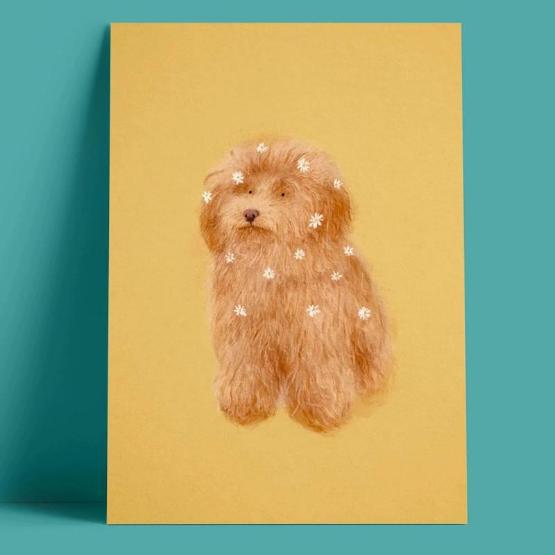 Открытка – Лабрадудель (жёлтая)