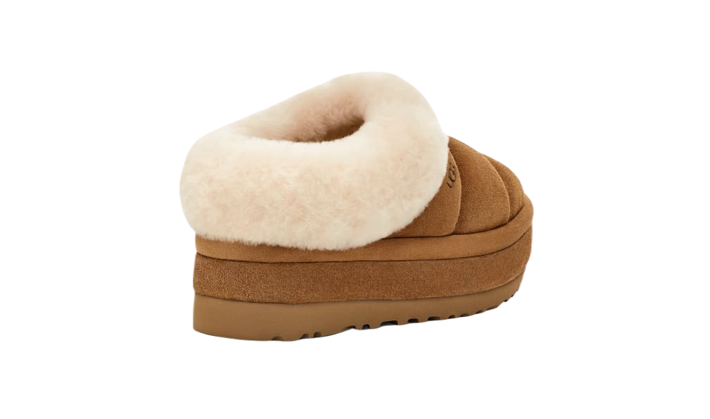 TAZZLITA CHESTNUT