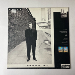 Винтажная виниловая пластинка LP Black Wonderful Life (Германия 1987)