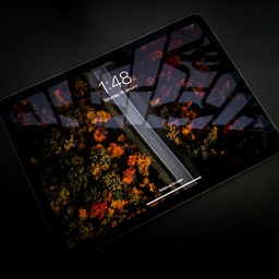 Чехлы для iPad
