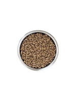 Purina PRO PLAN OPTIDERMA Medium Adult (Пурина Про План Оптидерма) сухой корм лосось 18 кг.