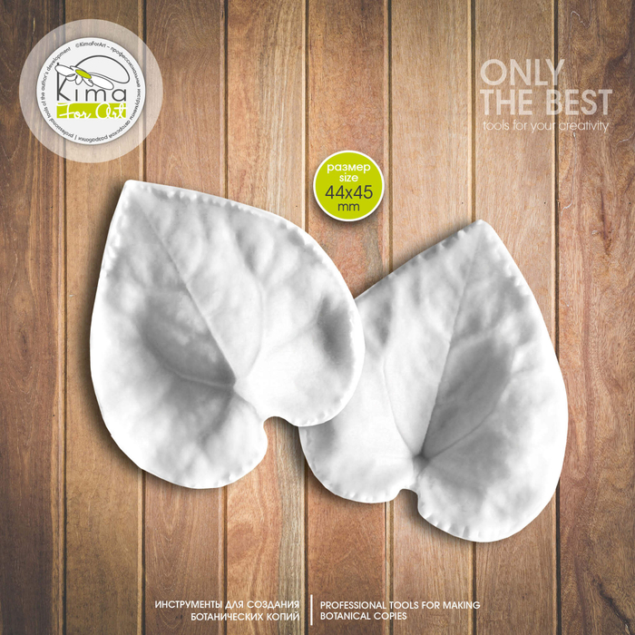 Цикламен лист маленький