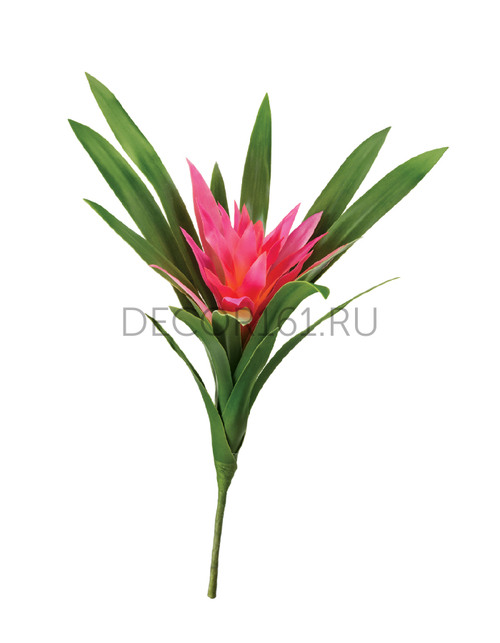 Гусмания Элегант тёмно-розовая в-30/22 см, д-20 см (Sensitive Botanic) 12/60 20.0615190PK