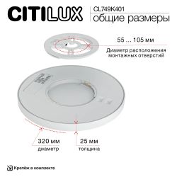 Citilux NORMA CL749K401 RGB Светильник с пультом Чёрный