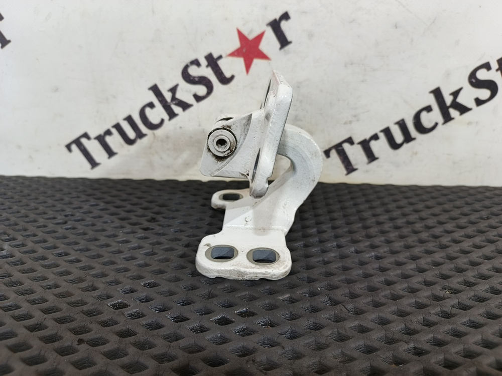 Петля двери правой 2020 год.