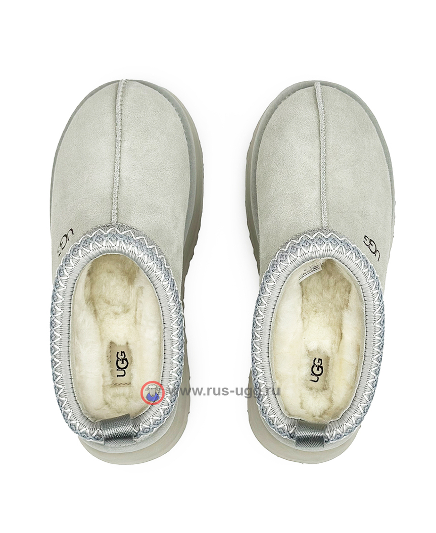 TAZZ Grey/Violet