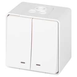 Выключатель ЭРА Эксперт 11-1505-01 двойной с подсветкой IP55, 10АХ-250В, ОУ, белый | Эра Эксперт