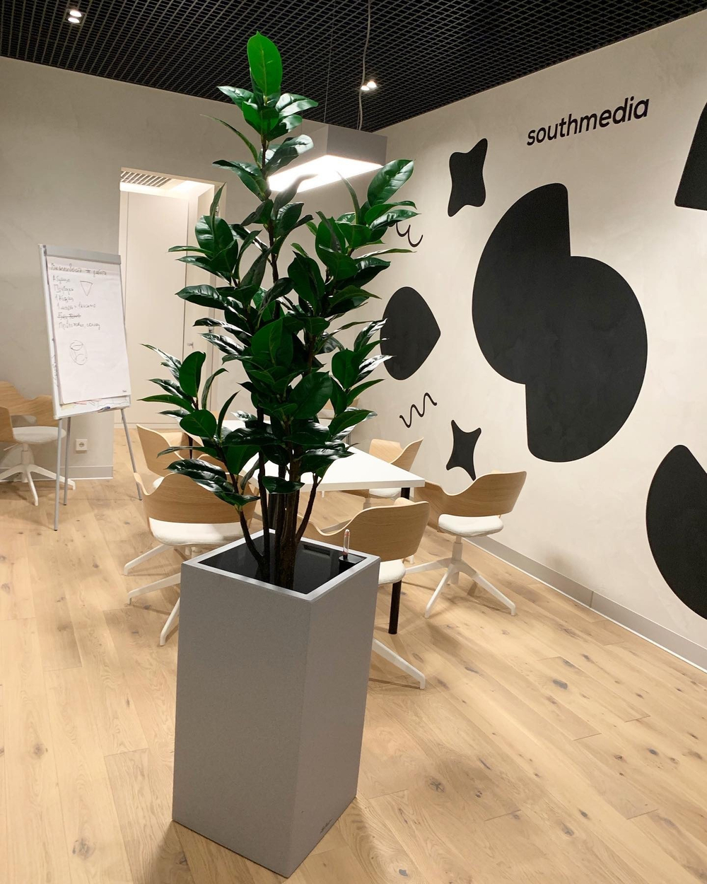 Озеленение  искусственными растениями офиса перфоманс-агенства "South Media" г.Краснодар