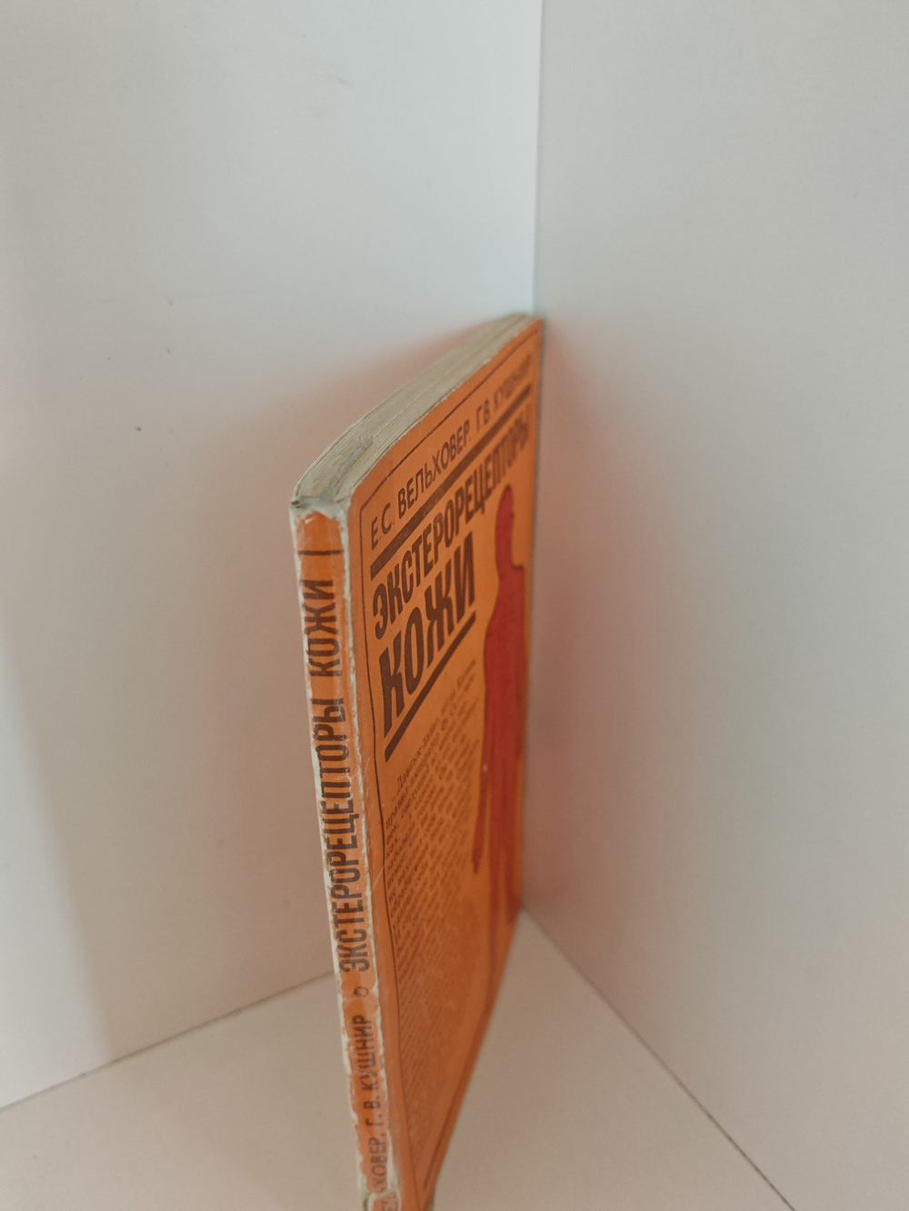 Экстерорецепторы кожи (Некоторые вопросы локальной диагностики и терапии)