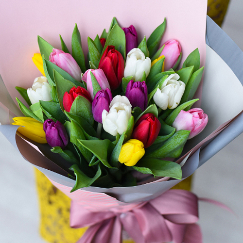 Купить Тюльпаны микс от 9шт