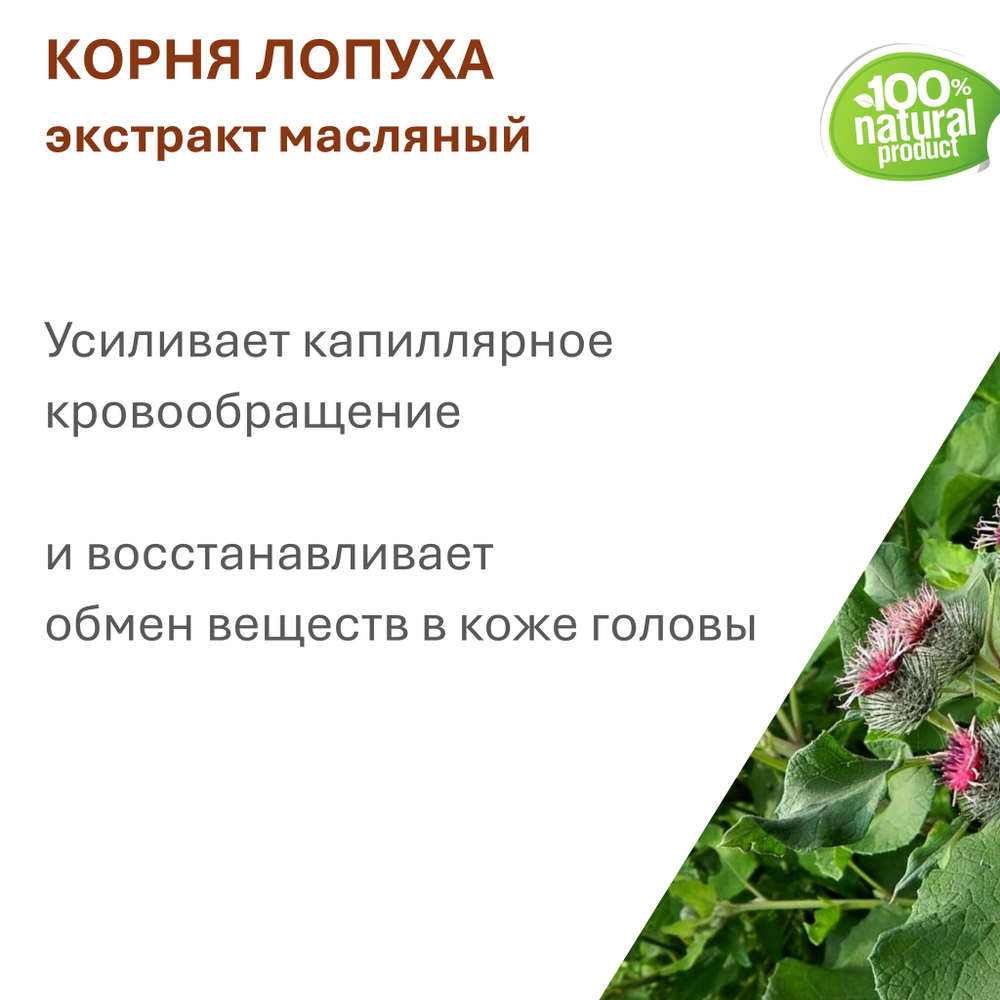 Экстракт корня лопуха, масляный