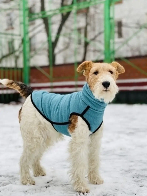 Свитер для собак на молнии попона