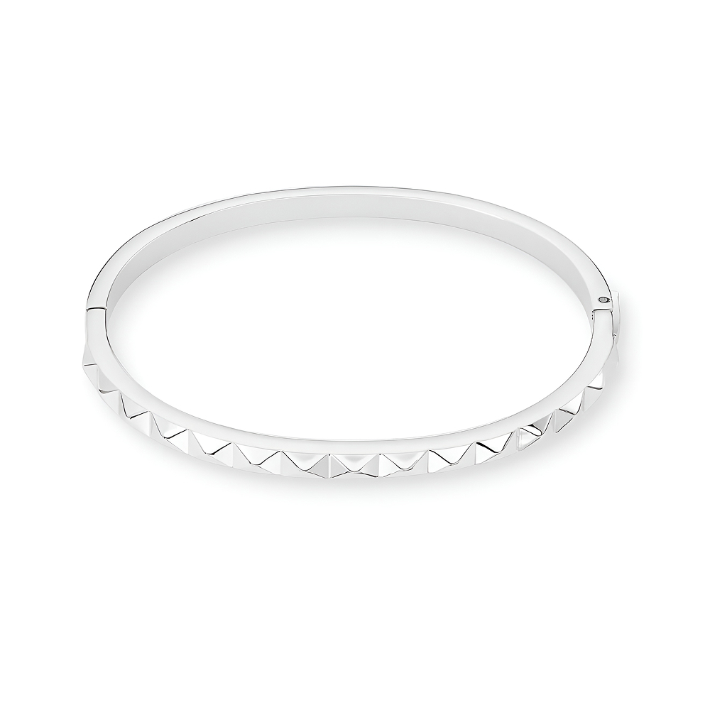 Браслет Coeur de Lion Silver 0135/32-1700 21
