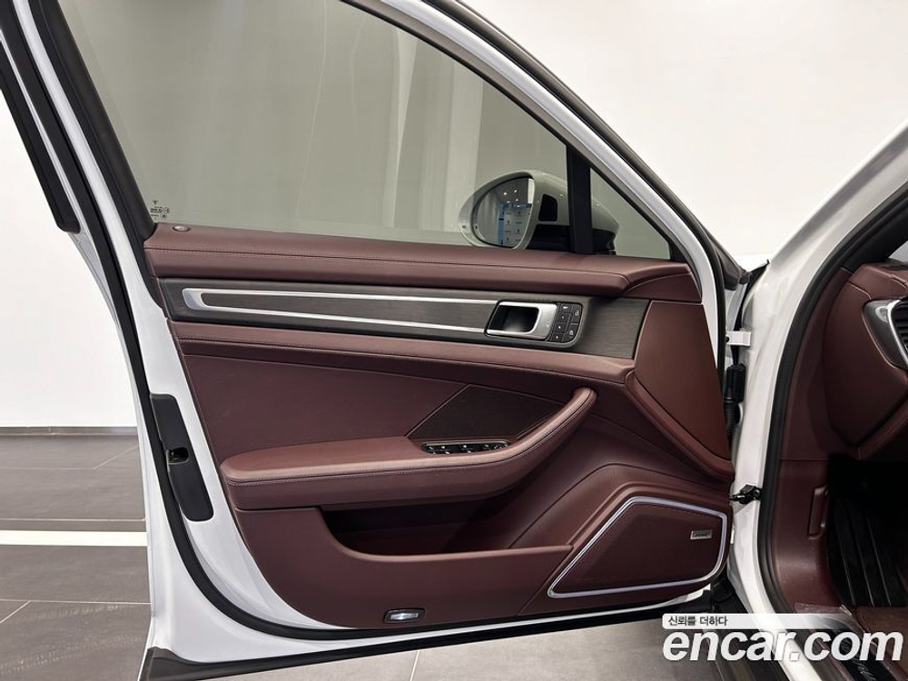 Porsche Panamera (971) 2.9 AWD Platinum Editions (05.2022)