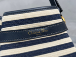 Christian Dior Medium C'est Dior Bag