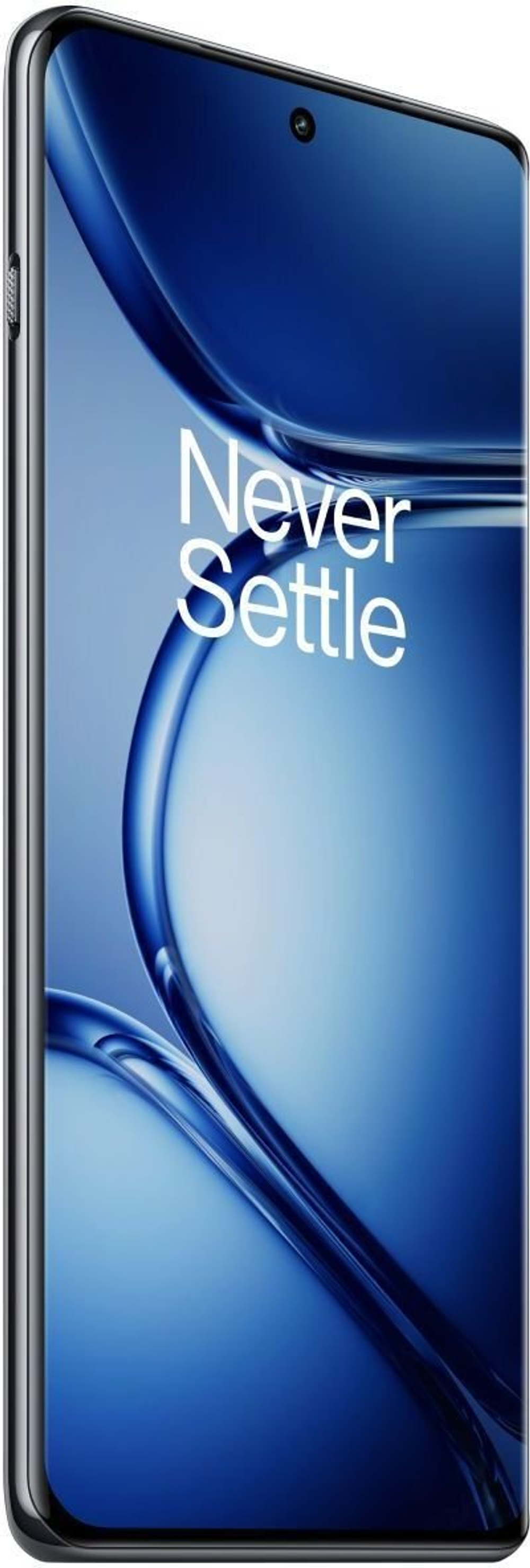 OnePlus Ace 2 Pro 16/512Gb Gray