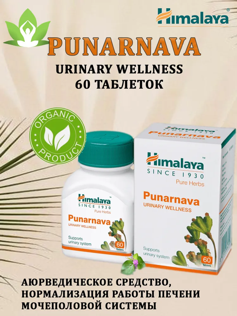 Пунарнава в капсулах Punarnava Himalaya