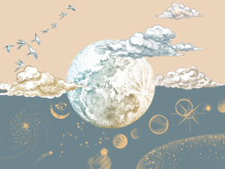 COSMOS 12