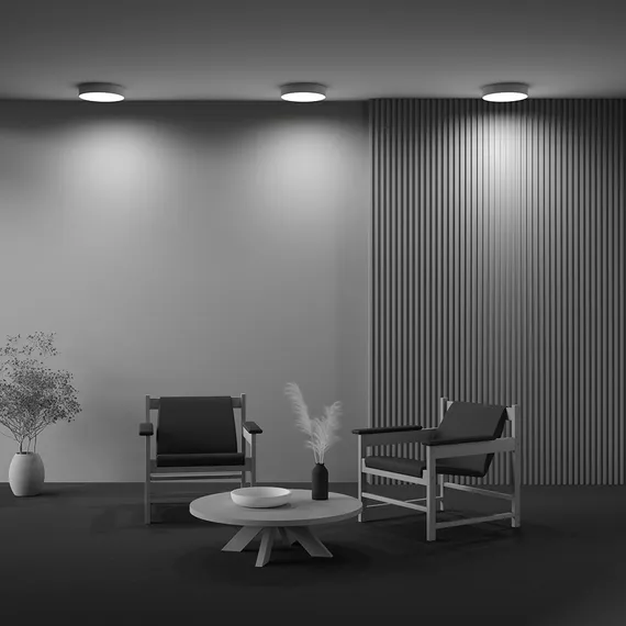Потолочный светильник Зон / Zon 36 Вт 4000 К 120° Technical c032cl-36w4k-rd-mg