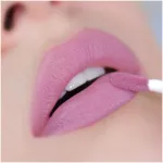 Матовая жидкая помада RELOUIS Nude Matte Complimenti - 17