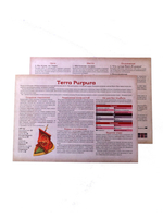 Одностраничная настольная ролевая игра Terra Purpura