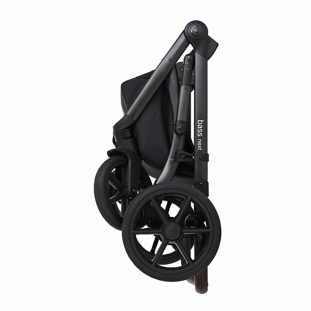 Детская коляска Roan Bass Next 2 в 1 RN231/1 Raisin Mood/Black