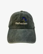 Кепка Гербарий Василек зеленая