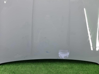 Капот Geely Tugella (2019-2024)