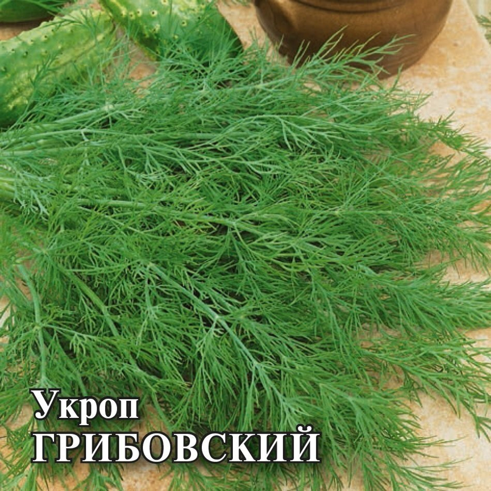 Укроп Грибовский 2г Ц Волжский Сад