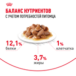Royal Canin Hair&Skin Care Хэйр Энд Скин Корм влажный для взрослых кошек поддержание здоровья кожи и шерсти соус 85г