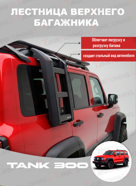 Лесенка верхнего багажника Tank 300