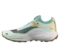 Кроссовки для бега мужские Salomon S/LAB Genesis M LTD Courtney v2 Watf Мультиколор
