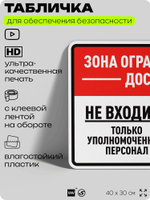 Табличка для обеспечения безопасности "Зона ограниченного доступа, не входить", для производства, предприятия, организаций, 40х30 см, Silver Plane x Айдентика Технолоджи