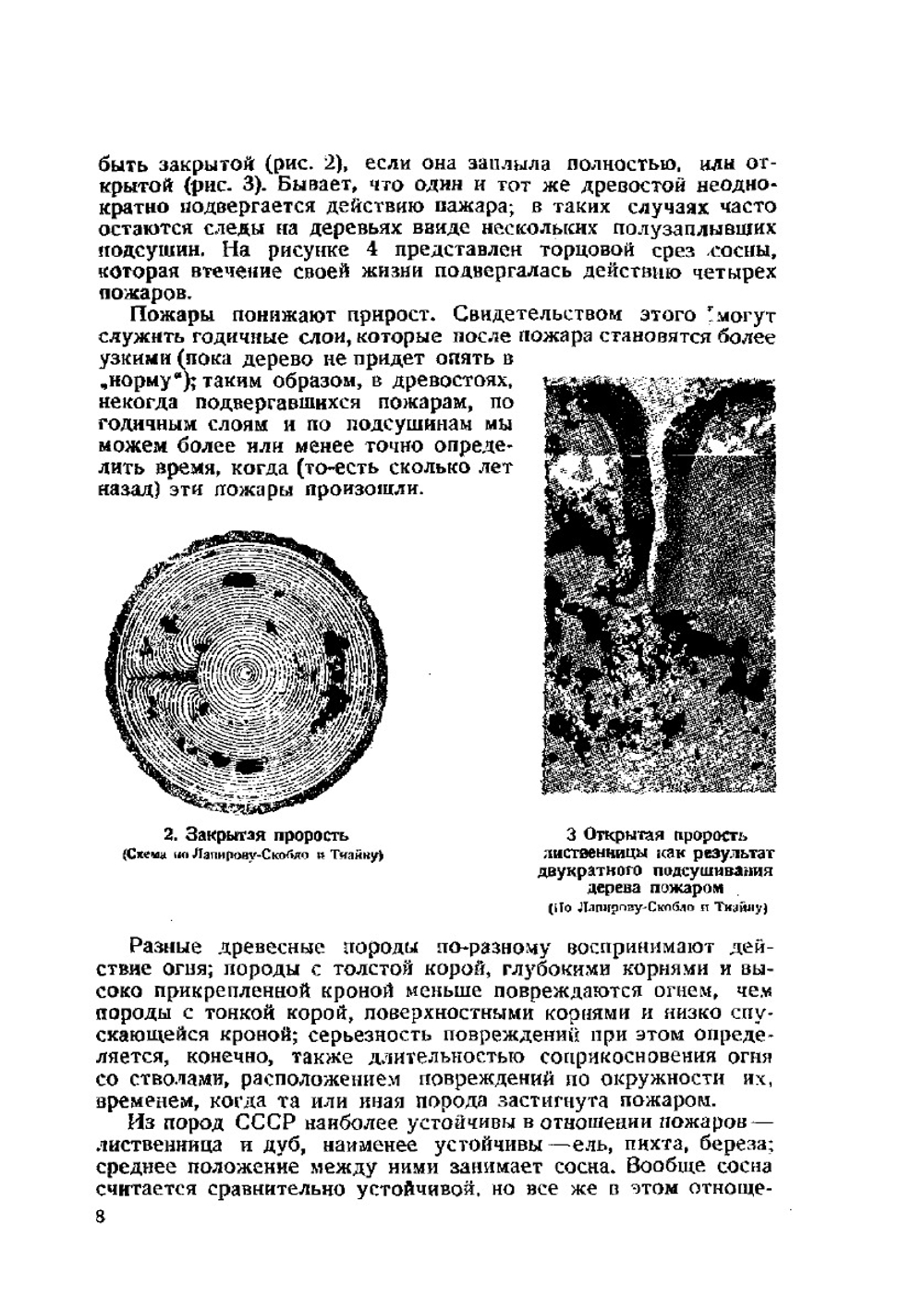 Лесные пожары и борьба с ними | И.С. Мелехов