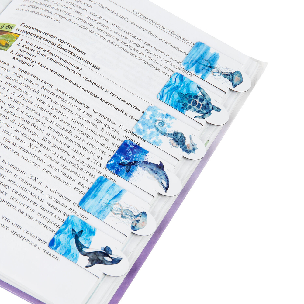 Закладки для книг МАГНИТНЫЕ c высечкой "MARINE LIFE" набор 6 шт. 35х25 мм BRAUBERG (8 штук в упаковке)