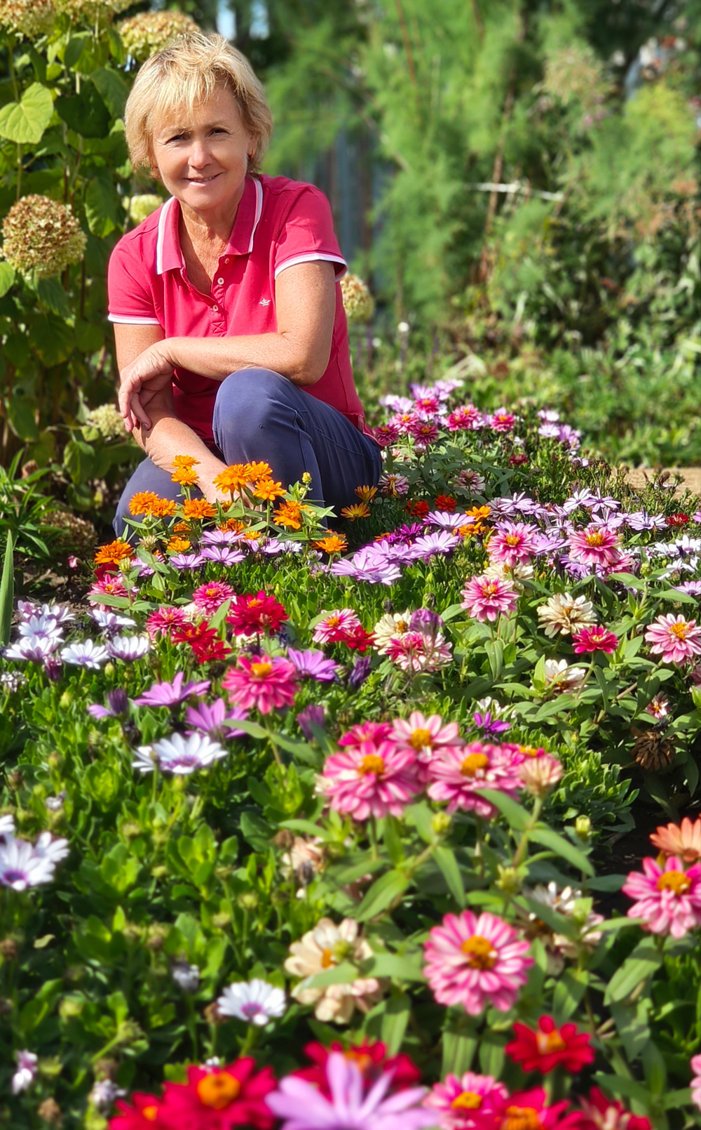 Цинния Профьюжен Fire