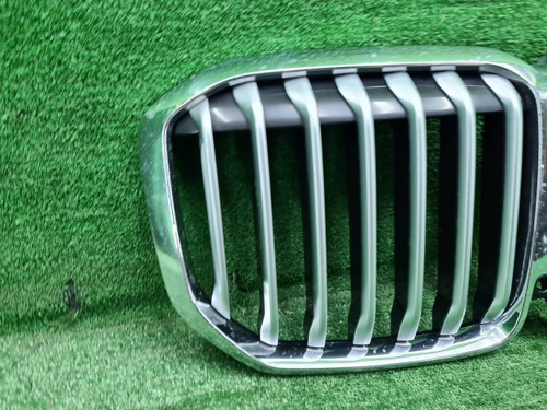 Решетка радиатора BMW X7 G07 (2019-2022)