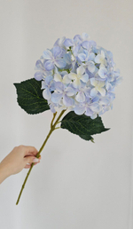 Гортензия / Арт 2096