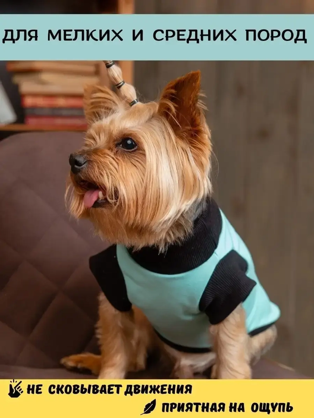 Футболка для собак мелких средних пород и кошек